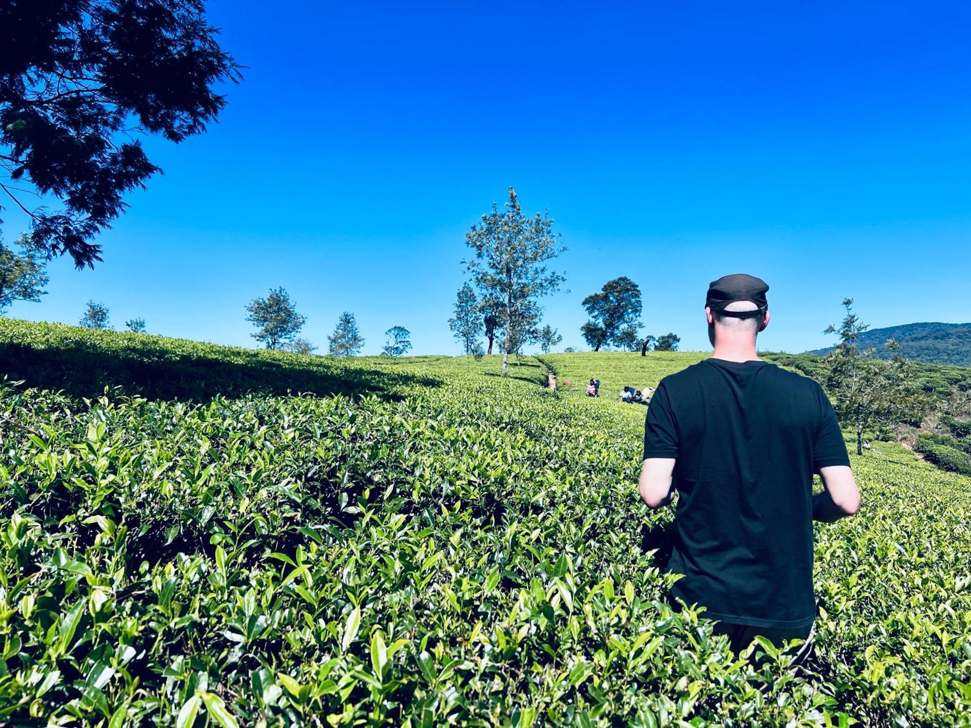 Rustique House Dbl Lägenhet Nuwara Eliya Exteriör bild